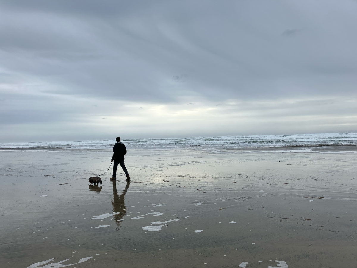 Beach Combing